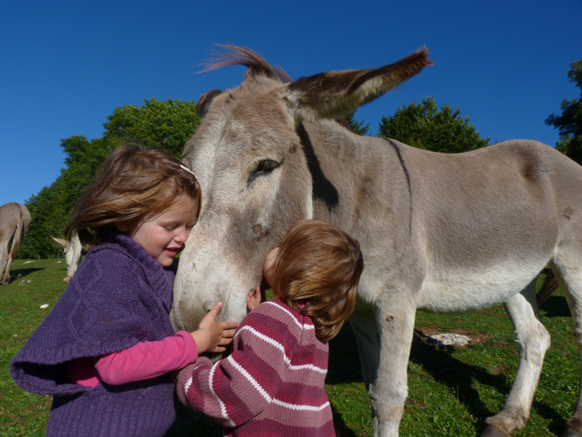 asino mediation enfant1